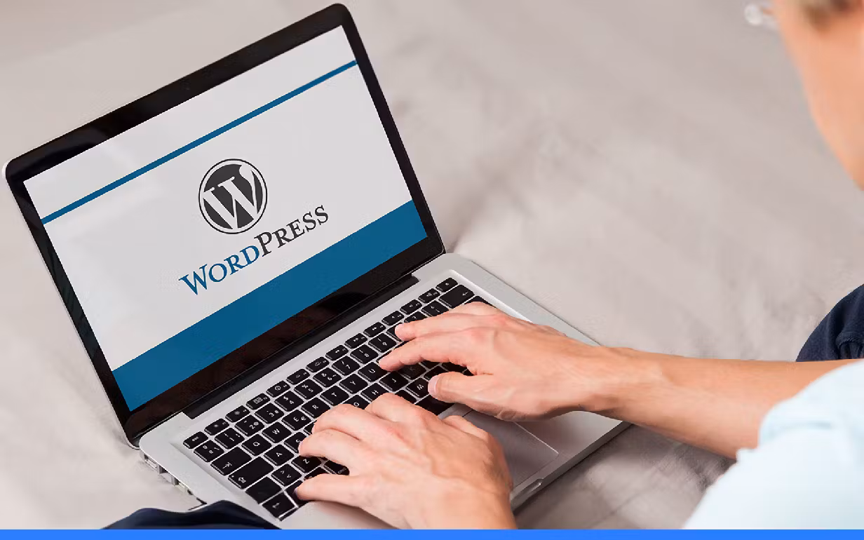 WordPress + SEO Websites Thumbnail