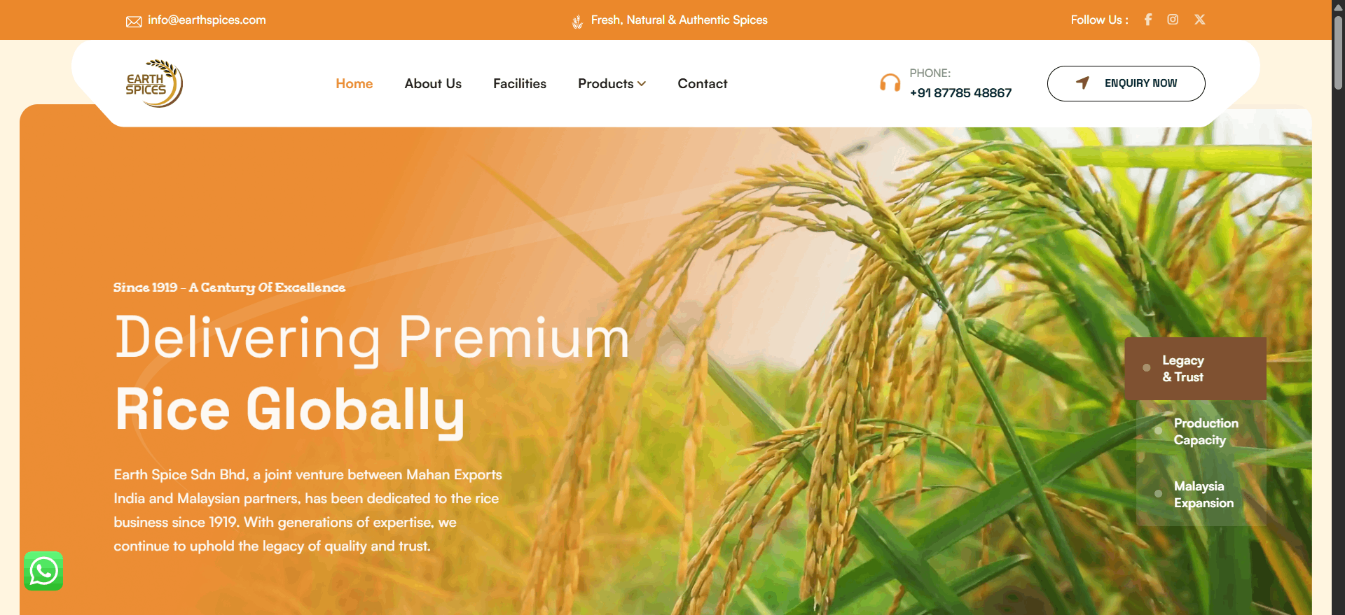 WordPress Site 16